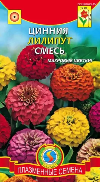Цинния Лилипут смесь, 0,3 гр, Плазменные семена