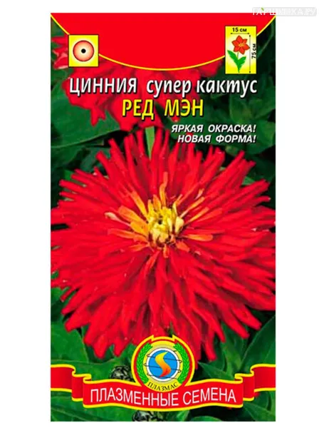Цинния супер-кактус Ред мэн, 0,25 гр, Плазменные семена