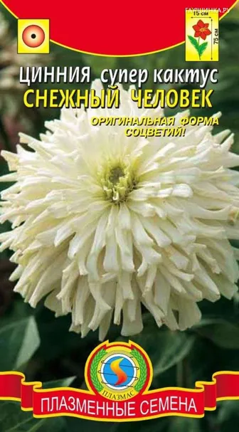 Цинния супер-кактус Снежный человек, 0,25 гр, Плазменные семена