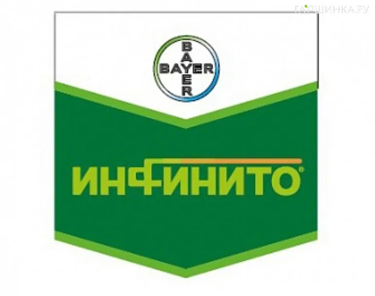Инфинито