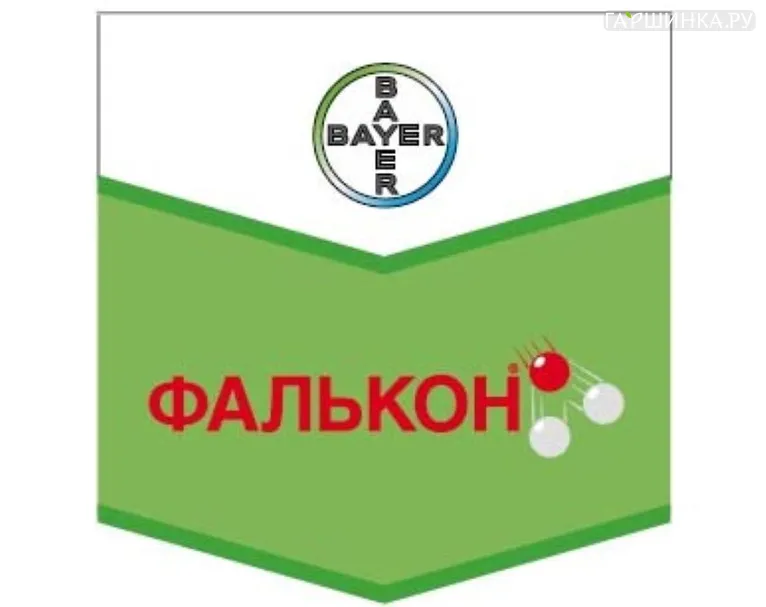 Фалькон