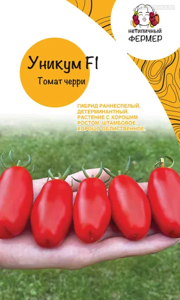 Томат Черри Уникум F1 10 шт, Семена Нетипичный фермер