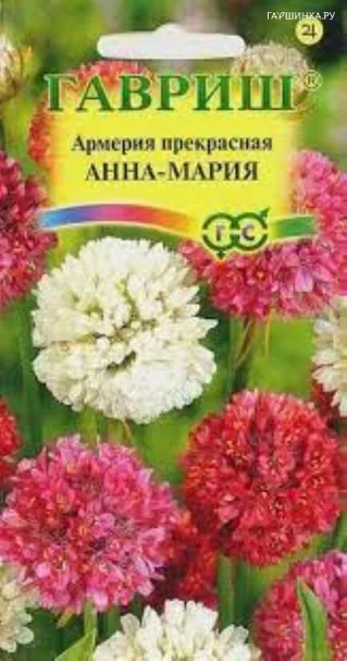 Армерия Анна Мария, 0,03 г, Н10