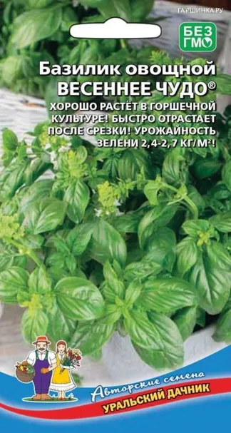 Базилик Весеннее чудо ЦП, Семена Уральский дачник