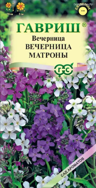 Вечерница ночная Вечерница Матроны, смесь, 0,3 г R