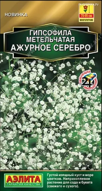 Гипсофила Ажурное серебро многолетняя, метельчатая 0,05г, ц/п