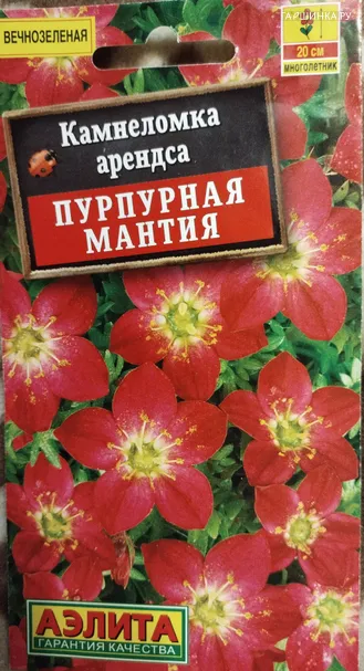 Камнеломка Пурпурная мантия, 0,02 г, ц/п