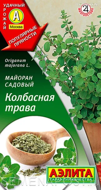Семена Майоран садовый Колбасная трава, 0,1 г, ц/п