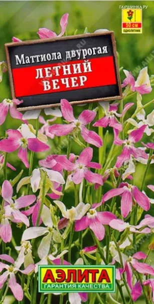 Маттиола двурогая Летний вечер, ц/п, 0,5г