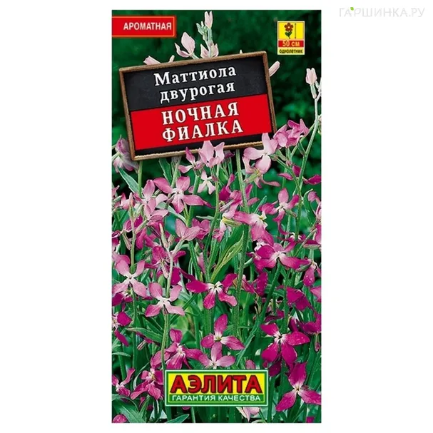 Маттиола Ночная фиалка, ц/п R