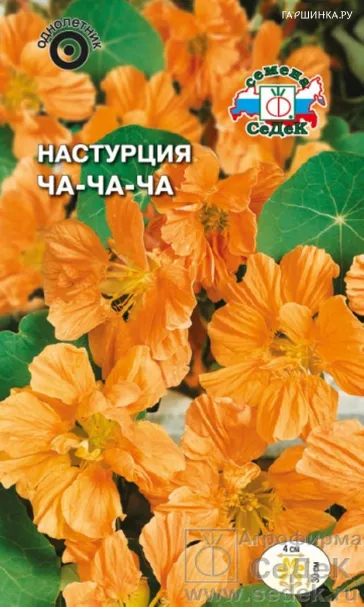 Настурция Ча-ча-ча, низкорослая ц/п, 0,5г