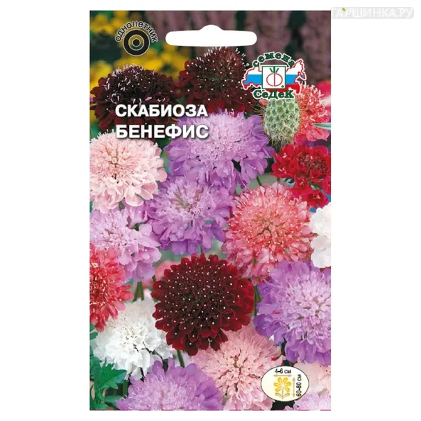 Скабиоза Бенефис, смесь сортов, ц/п, 0,3 г