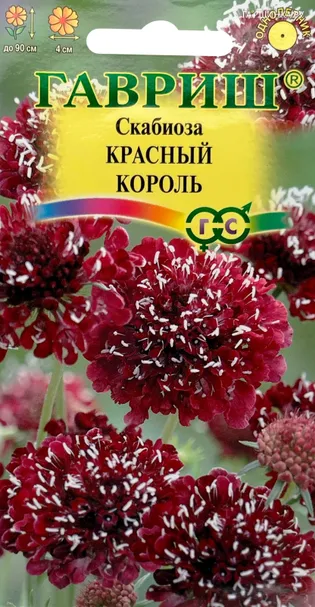 Скабиоза темнопурпурная Красный король махр. 7 шт, ц/п