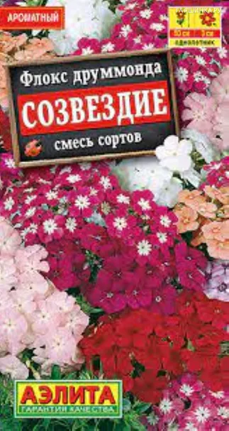 Флокс друммонда Созвездие, смесь, 0,3 г, ц/п