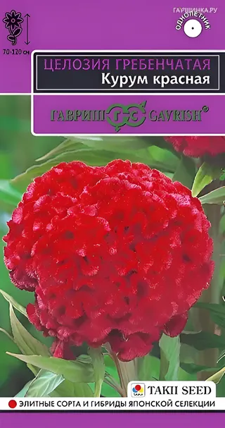 Целозия Курум красная, гребенчатая, ц/п, 10 штук