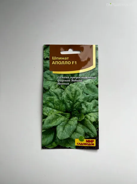 Шпинат Аполло F1 ц/п, 100 (150шт) штук