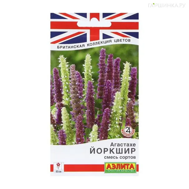 Агастахе Йоркшир, смесь сортов ц/п 0,1г