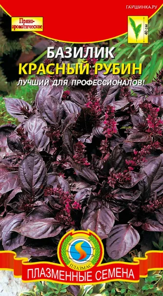 Базилик Красный Рубин 0,15 г. Плазменные семена