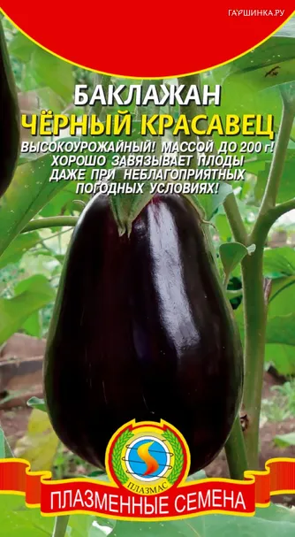 Баклажан Черный красавец 0,3 г, Плазменные семена