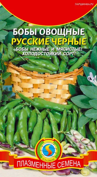 Бобы Русские чёрные 6 шт, Плазменные семена