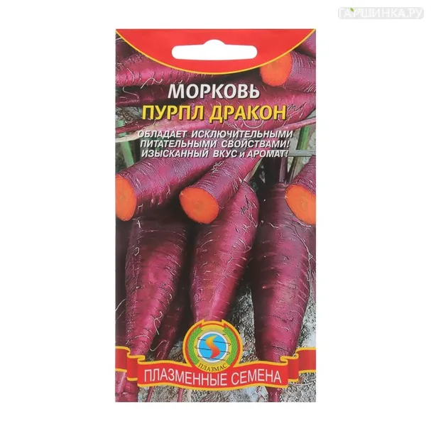 Морковь Пурпл Дракон, 100 шт, Плазменные семена