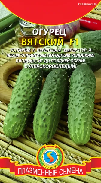 Огурец Вятский F1 7шт, Плазменные семена