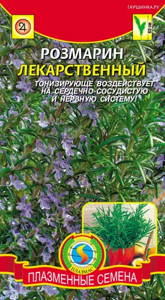 Розмарин лекарственный 20 шт, Плазменные семена