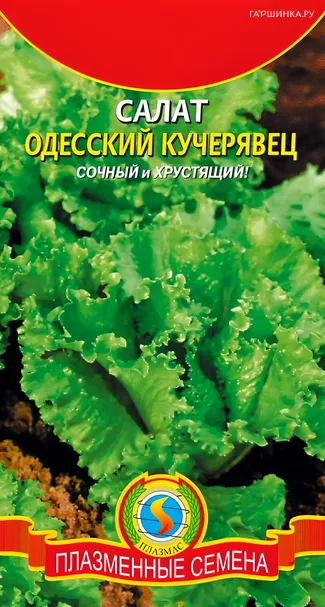 Салат Одесский кучерявец 0,9 г, Плазменные семена