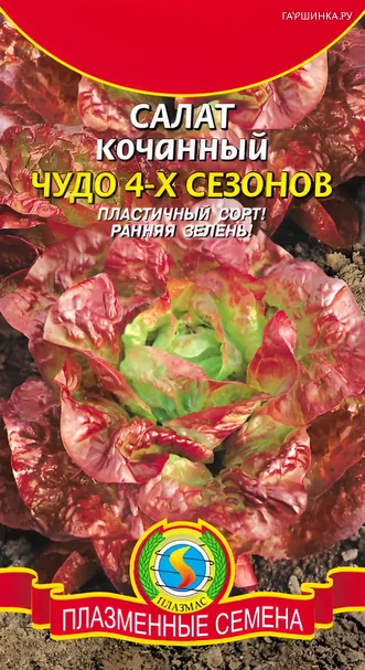 Салат Чудо 4-х сезонов 0,5 г, Плазменные семена