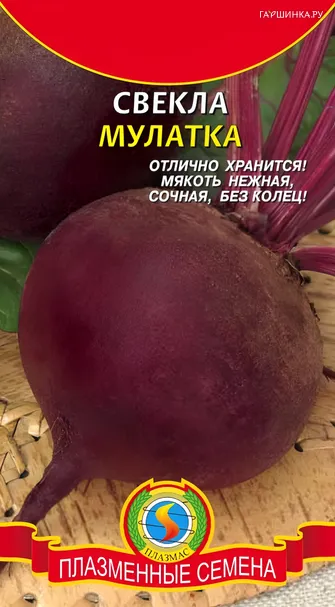 Свекла Мулатка 2 г, Плазменные семена