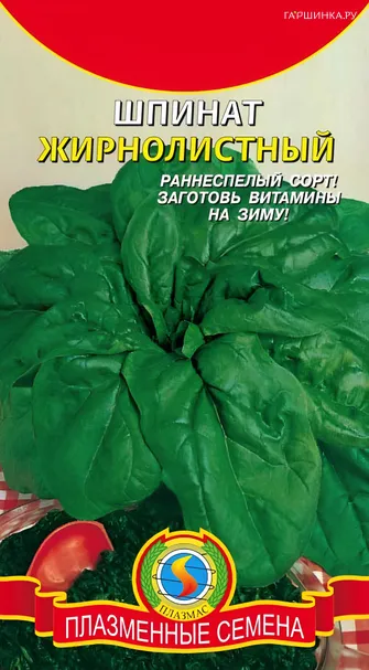 Шпинат Жирнолистный 2 г, Плазменные семена