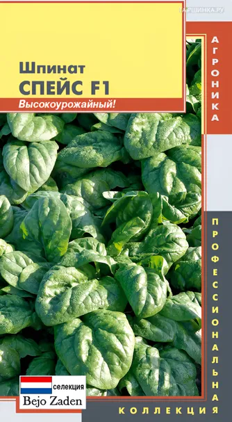 Шпинат Спейс 150 шт, Плазменные семена