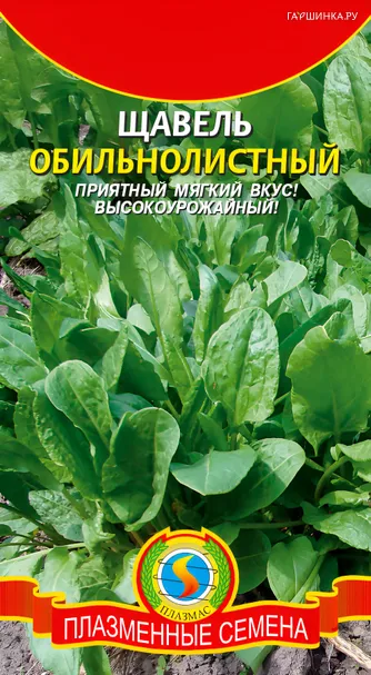 Щавель Обильнолистный 0,5 г, Плазменные семена