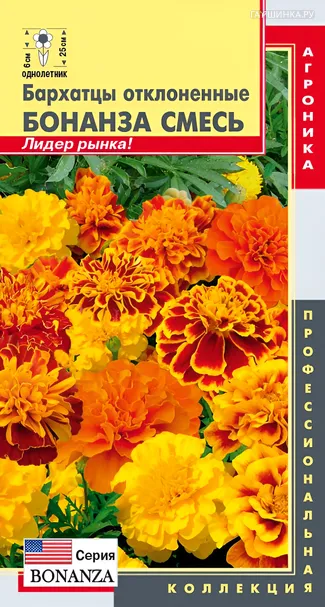 Бархатцы отклоненные (серия Бонанза) Бонанза Смесь 10шт, Плазменные семена