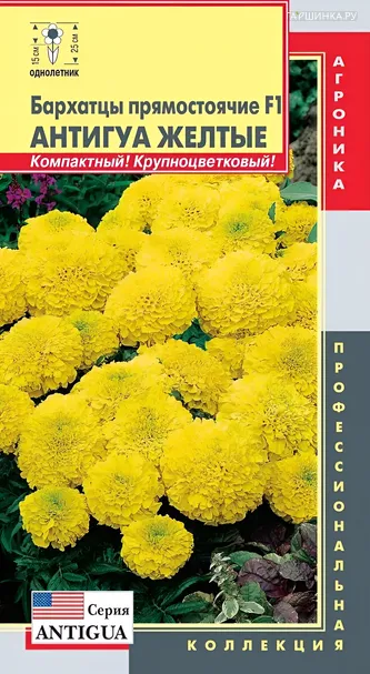 Бархатцы прямостоячие F1 Антигуа Желтые 5шт, Плазменные семена