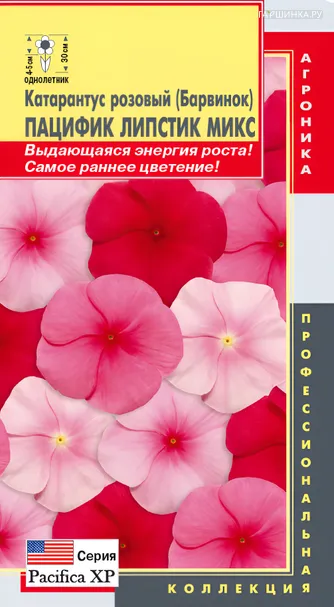 Катарантус розовый (Барвинок) Пацифик Липстик Микс, 8 шт, Плазменные семена