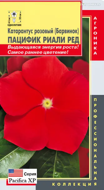 Катарантус розовый (Барвинок) Пацифик Риали Ред, 8 шт, Плазменные семена