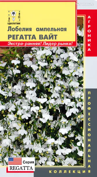 Лобелия ампельная (серия Регатта) Регатта Вайт, 8 мультидрж в пробирке, Плазменные семена