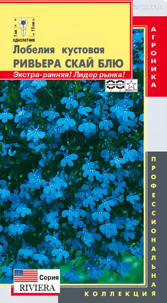 Лобелия кустовая (серия Riviera) Ривьера Скай Блю, 8 мультидрж в пробир, Плазменные семена