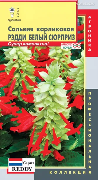 Сальвия карликовая (серия Reddy) Рэдди Белый сюприз 10 шт, Плазменные семена