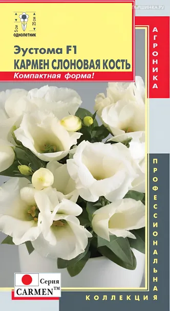 Эустома F1 Кармен (серия Carmen) Слоновая кость 5 драже, Плазменные семена