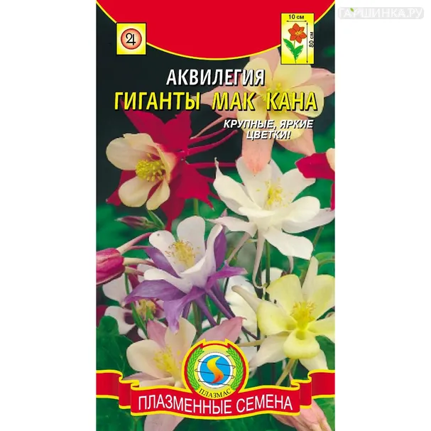 Аквилегия Гигант Мак Кана 0,1 г, Плазменные семена