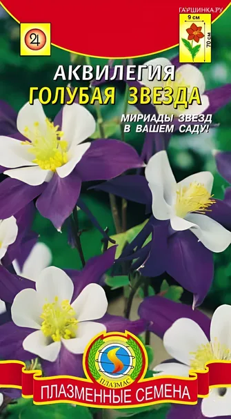 Аквилегия Голубая звезда 0,05 г, Плазменные семена