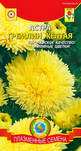 Астра Гремлин желтая 0,2г, Плазменные семена