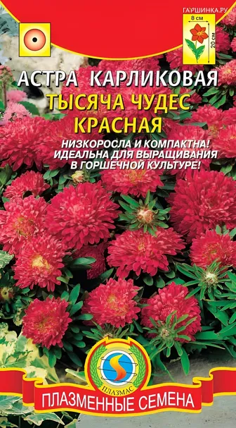 Астра карликовая Тысяча чудес красная 0,2г, Плазменные семена