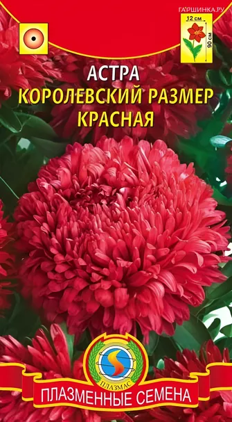 Астра королевский размер Красная 0,1, Плазменные семена