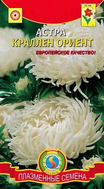 Астра Краллен Ориент 0,3г, Плазменные семена