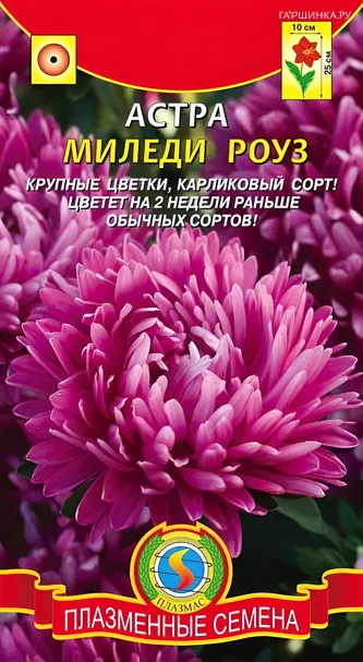 Астра Миледи Роуз 0,2г, Плазменные семена