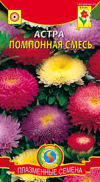 Астра помпонная Смесь окрасок 0,3, Плазменные семена