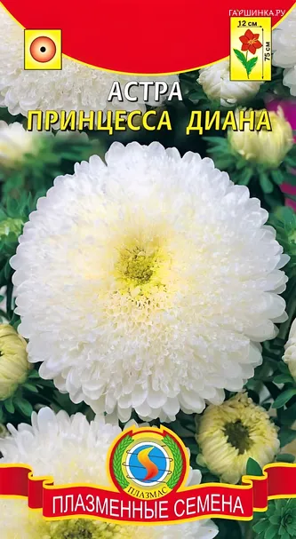Астра Принцесса Диана 0,3г, Плазменные семена